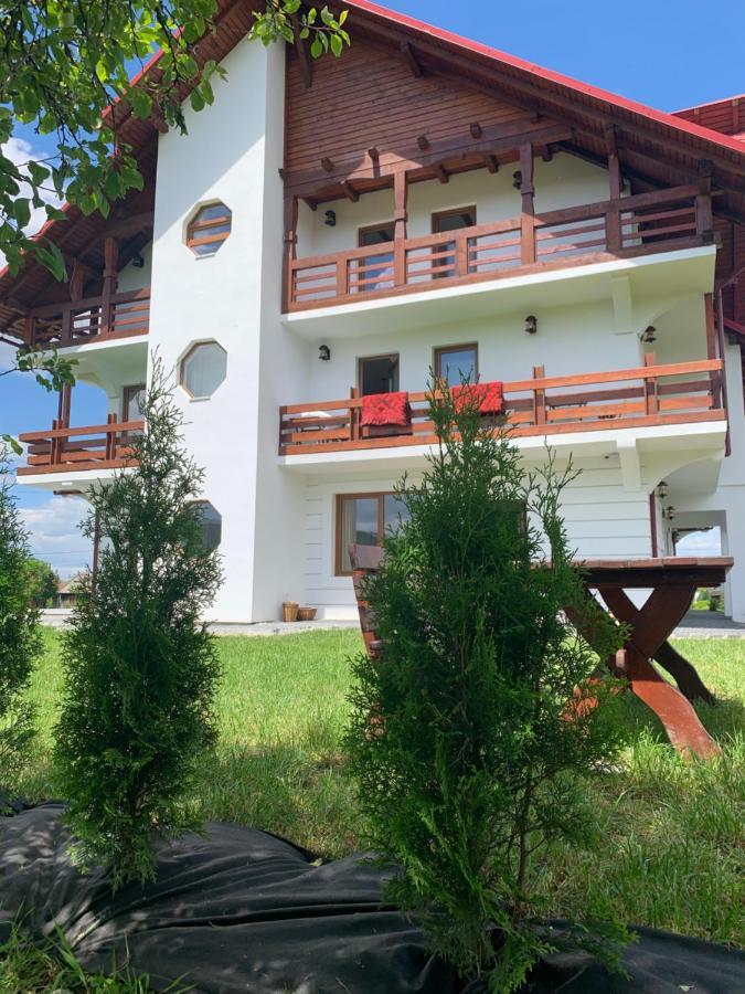 Poeme Hotel Sighetu Marmatiei Exterior photo